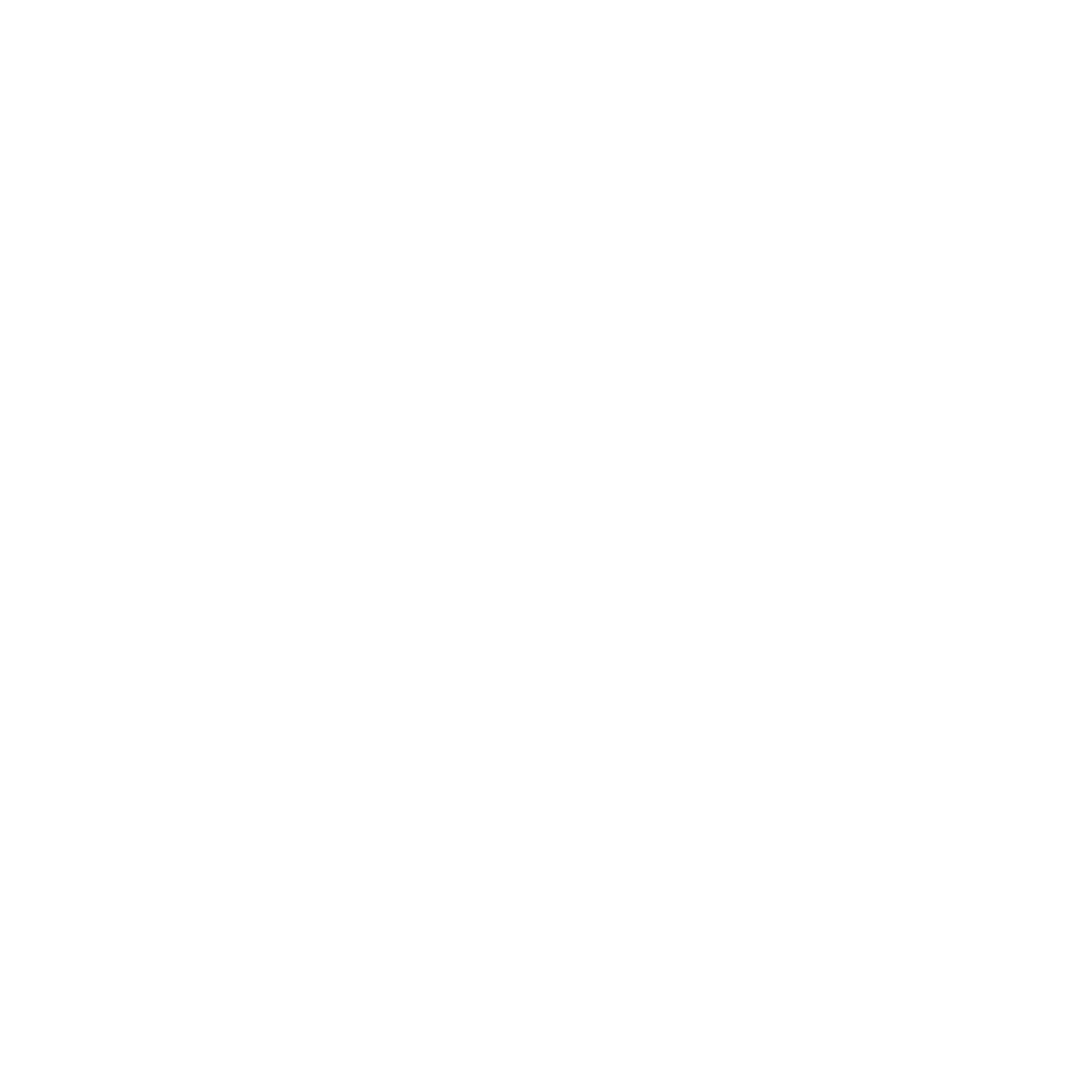 Third Eye Solution